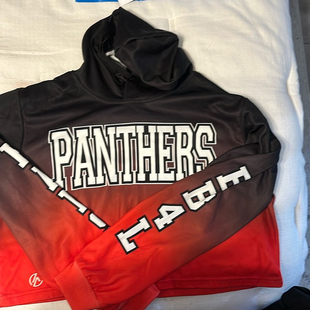Cheer Athletics Panthers cropped hoodie